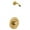 Brushed Gold, variant on Moen T2192nh Align Gold Round 1 Handle Pressure Balanced Shower Trim Only