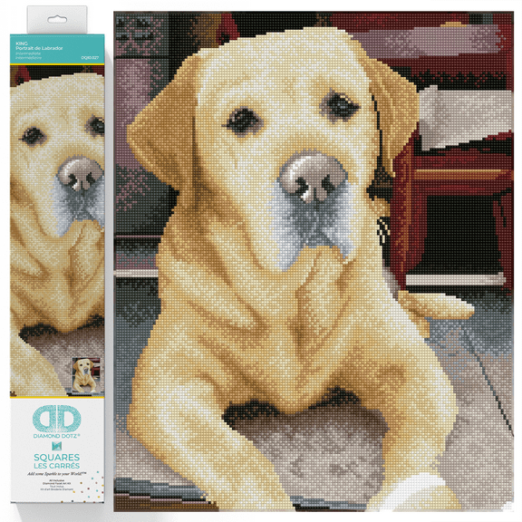 Diamond Dotz KING Diamond Painting Kits for Adults - Diamond Art Kits a Relaxing Creative Craft Kit with Dotz Gems 15.8x19.7