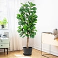 thumbnail image 4 of 6.1FT Faux Fiddle Leaf Fig Tree, Artificial Plants for Home Decor Indoor Outdoor, 73inch Fake Tall Artificial Ficus Lyrata Tree in Pot Perfect for House Office Living Room Decoration, 4 of 7