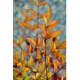 thumbnail image 2 of Agrypolous, Lisa 13x18 White Modern Wood Framed Museum Art Print Titled - The Fire Within, 2 of 4