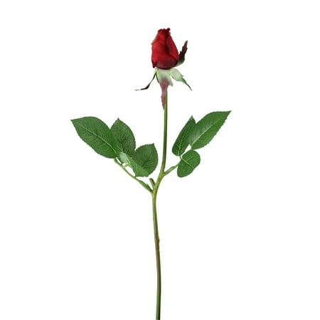 - Allstate Floral 22.5