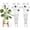 Two butterflies, variant on 2 Pack 30 Inch Taller Plant Trellis for Potted Climbing Plants Indoor,Expandable Metal Garden Trellis for Climbing Plants,Flowers Vine Ivy, Sturdy Houseplant Support for Potted Plants with Ties