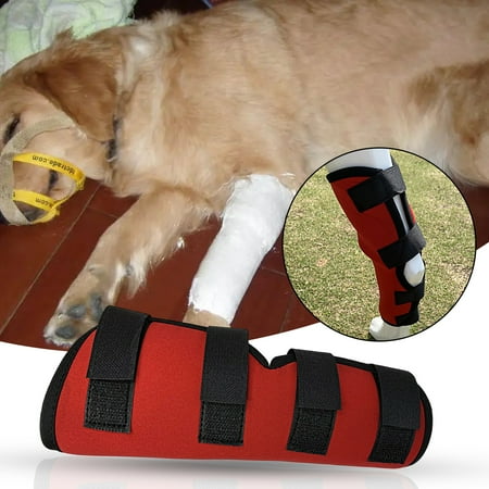 

Mosey Great Pet Knee Pads Comfortable for Indoor Breathable