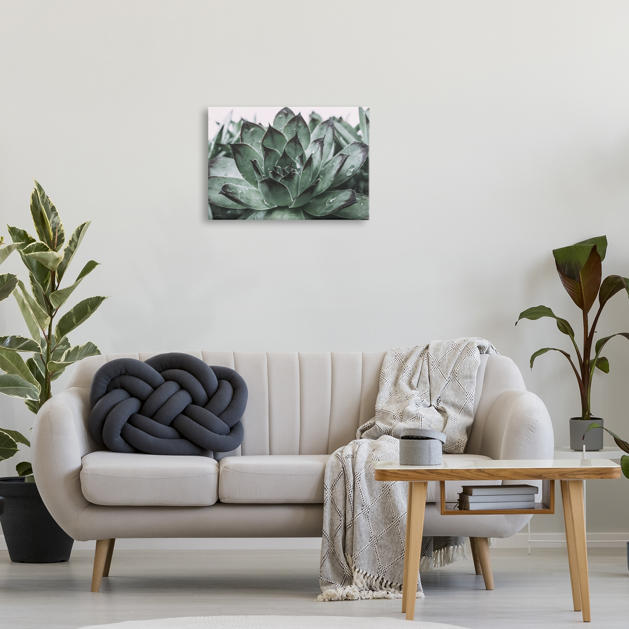 Stupell Industries Succulent with Rain Droplets Plants & Flowers Painting Wrapped Canvas Art Print Wall Art, 24 x 16