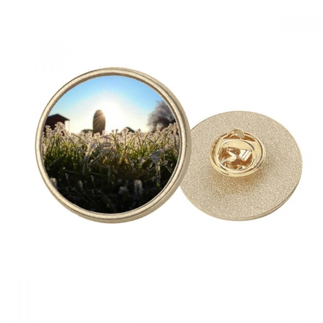 La ciencia naturaleza paisaje Sol Verde forestal Broche de oro metálico circular