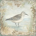 thumbnail image 2 of McRostie, Kate 12x12 Black Ornate Wood Framed with Double Matting Museum Art Print Titled - Shore Birds I, 2 of 4