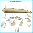 thumbnail image 2 of Almohadilla grande para lavar platos de lufa Natural para cocina, baño, esponja, cuerpo, exfoliante, depurador Levamdar  WMPH-771-1, 2 of 5