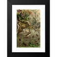 thumbnail image 2 of Alfred Edmund Brehm 17x24 Black Modern Framed Museum Art Print Titled - The Insects, Thousands and Spiders Pl 20 (1877), 2 of 5