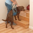 thumbnail image 6 of Kurgo Up & About Dog Lifter, Disabled Dog Carrier, Back Support for Pets, For Dogs Between 50-90 lbs, 6 of 7