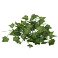 thumbnail image 2 of 2X 2M Plantas Artificiales Largas Hojas de Hiedra Verde Vid de Uva Artificial Hoja Falsa de Partenciscisus, Decoracion de Casa Boda Y Bar, Seccion de Enredadera, 2 of 5