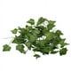 thumbnail image 2 of 2X 2M Plantas Artificiales Largas Hojas de Hiedra Verde Vid de Uva Artificial Hoja Falsa de Partenciscisus, Decoracion de Casa Boda Y Bar, Seccion de Enredadera, 2 of 5