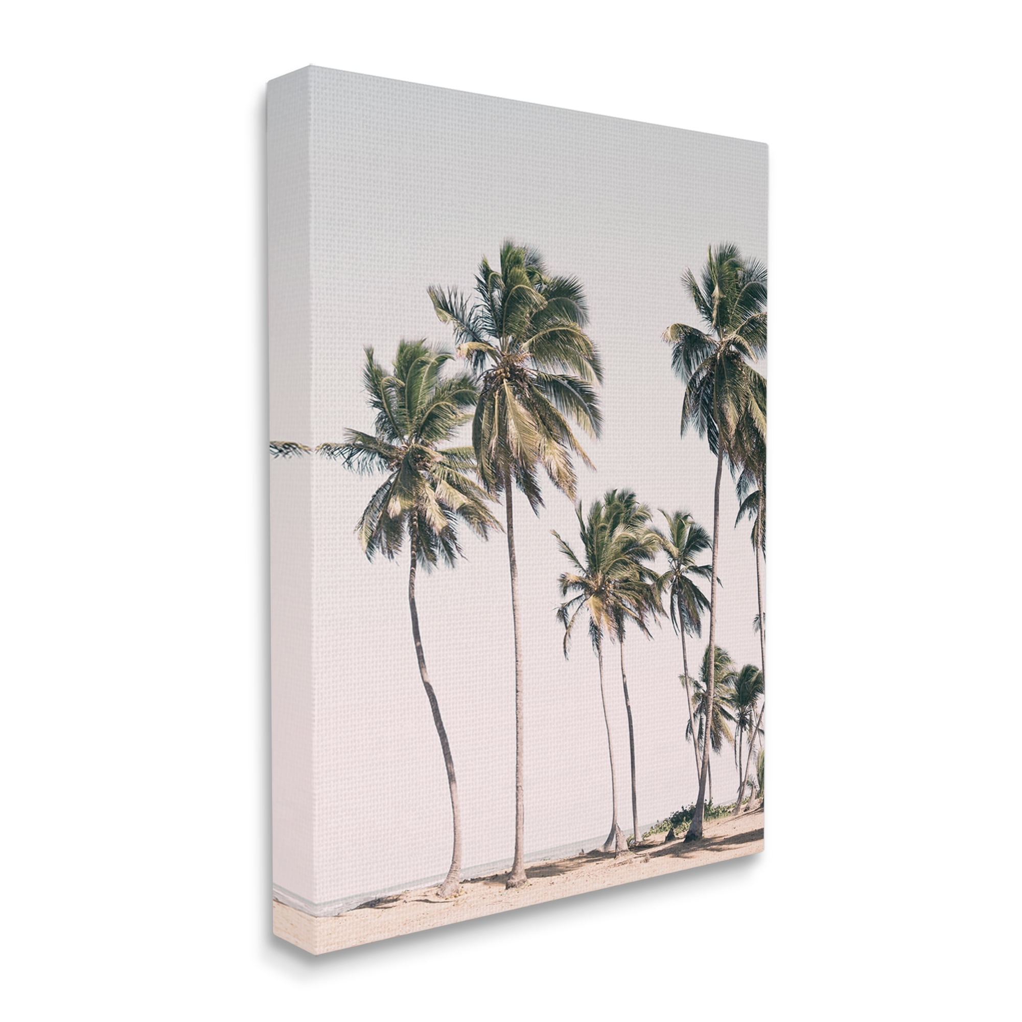 Stupell Industries Windblown Palm Trees Nature Photography Gallery Wrapped Canvas Print Wall Art, 36 x 48