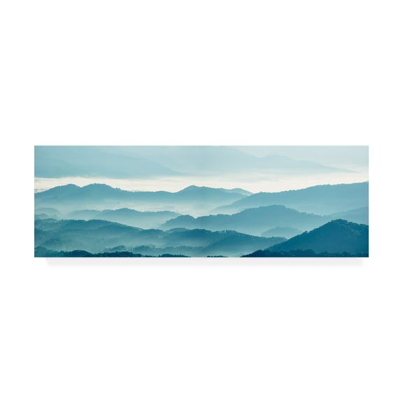 Trademark Fine Art 'Misty Mountains X' Canvas Art by James McLoughlin