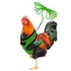 thumbnail image 1 of Pollo Ajustable Con Correa Chaleco De Mascota De Gallina Transpirable Con Cinturón A Juego De 3.6 Pies Cuerda De Tracción De Entrenamiento Al Aire Libre Para Mascotas Gallina Pato Ganso Minnieouse HA044941-13, 1 of 6