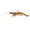 BROWN SHRIMP, variant on Z-Man Prawnstarz - 5" - 1 Pack