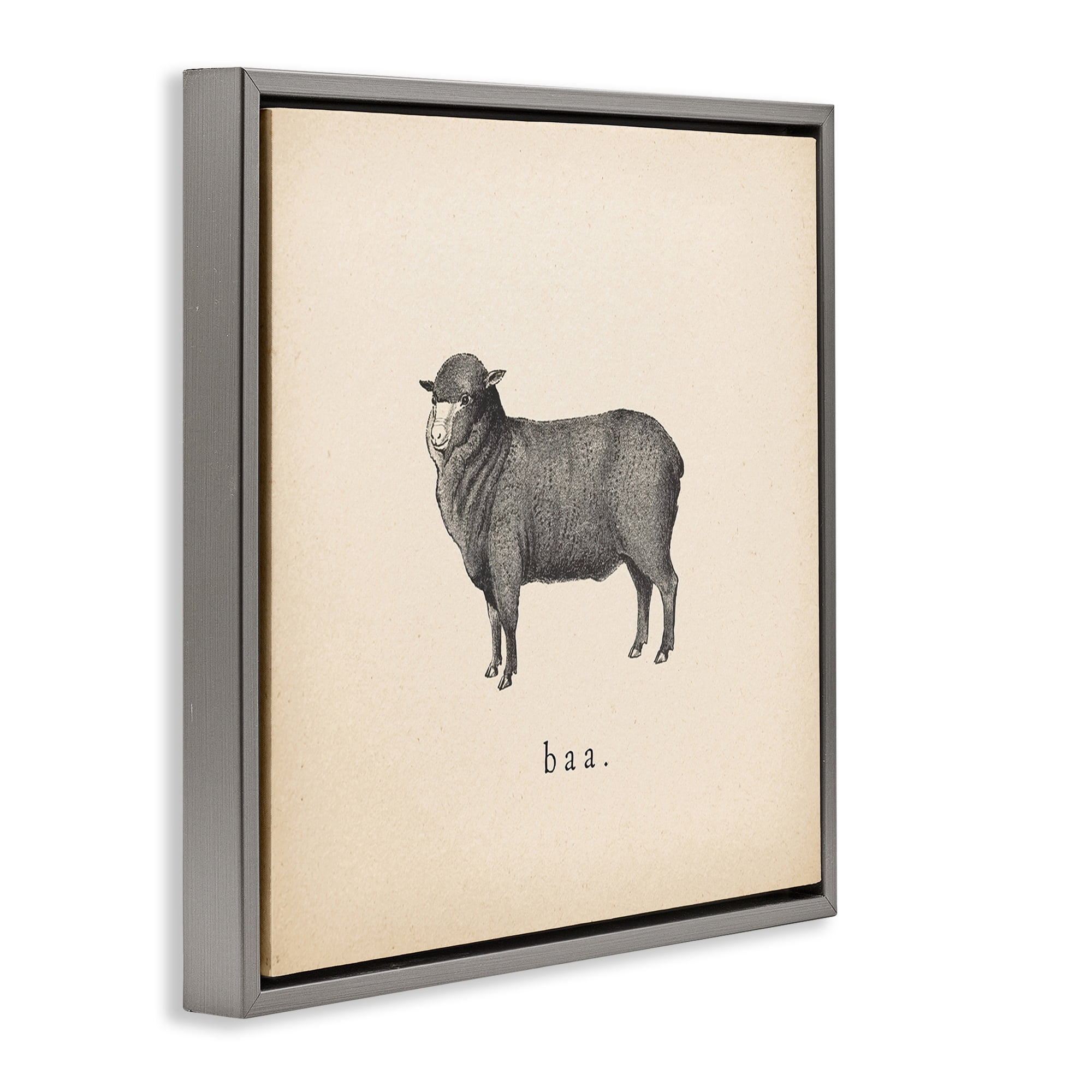 Stupell Industries Baa Farm Sheep Sounds Animals Painting Gray Floater Framed Canvas Art Print Wall Art, 18 x 18