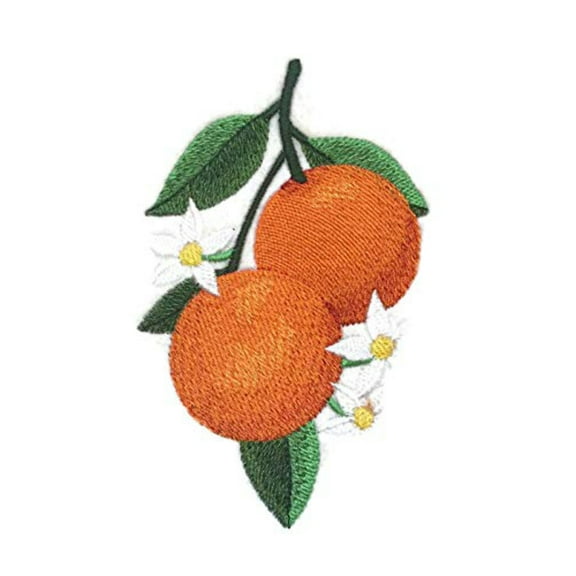 Fruits [Oranges] Embroidered Iron on/Sew Patch [4.8"x"3"]