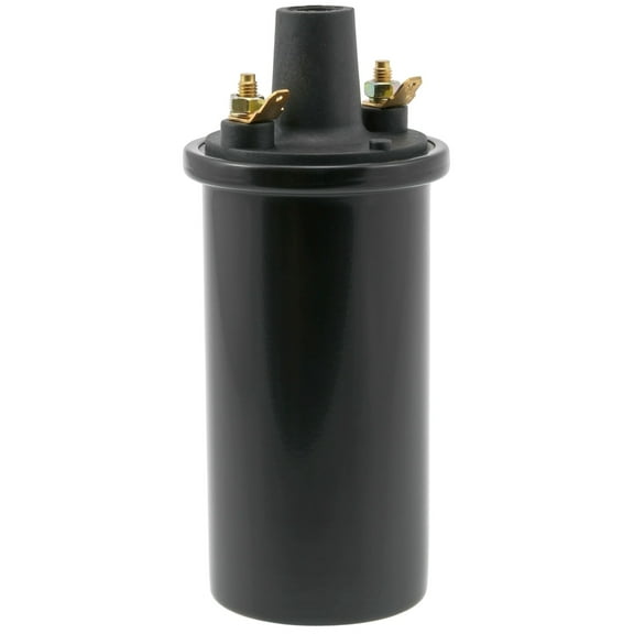 WVE 5C1063 Ignition Coil
