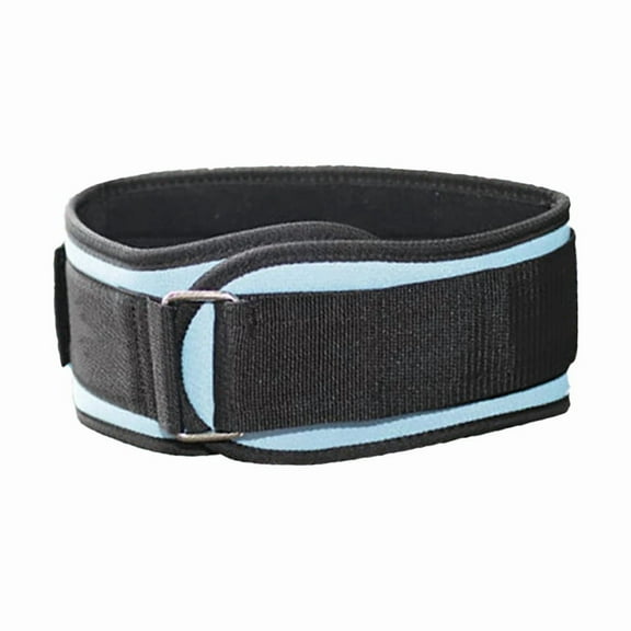 FitAura 1Pcs Adjustable Sport Weightlifting Powerlift Belt Fitness Dumbbell Barbell Squat Training Lumbar Support Waistband Band (Blue,L)