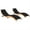 Black, variant on vidaXL Sun Loungers 2 pcs with Cushions Solid Acacia Wood