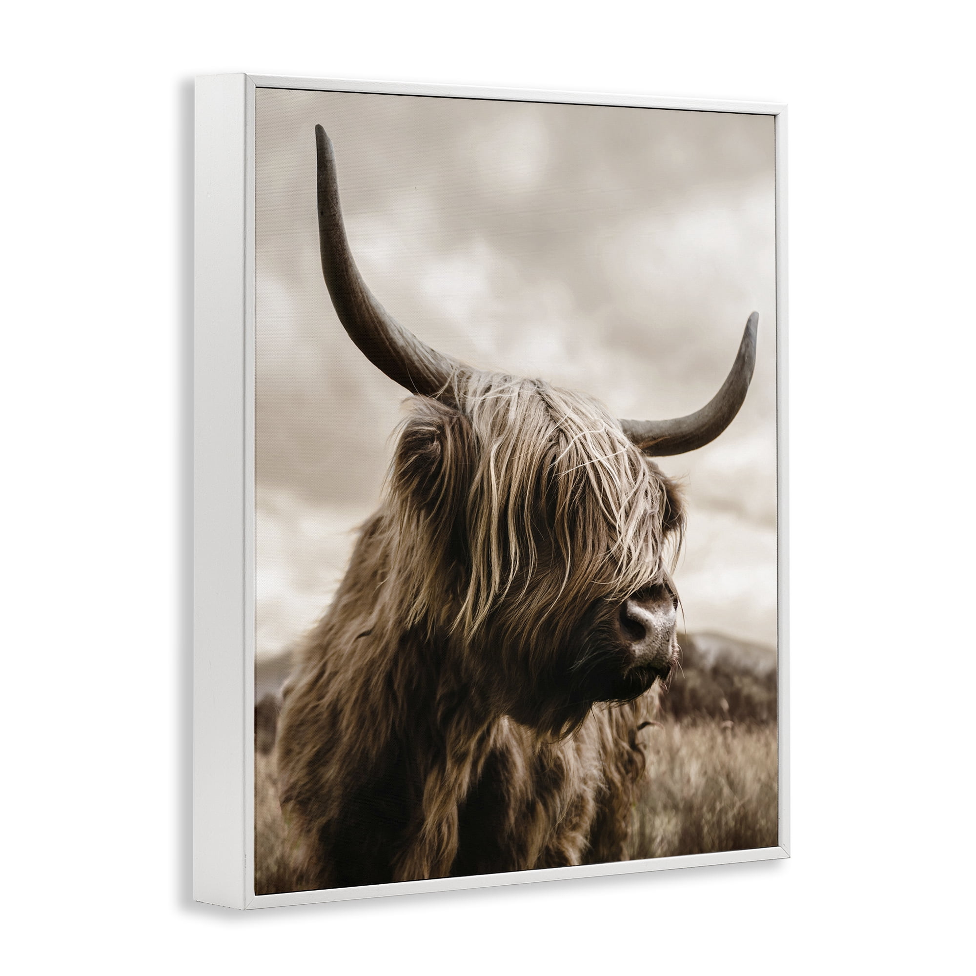 Stupell Industries Highland Cow on Windswept Moor White Framed Giclee Art, design by CAD Designs