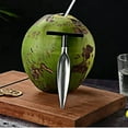thumbnail image 7 of HaoXun Stainless Steel Coconut Opener Tool for Camping & Kitchen - Easy to Use Drill Punch Opener, Portable Coconut Cracker for Young White/Green Husk Coconuts (Travel Gadget), 7 of 7