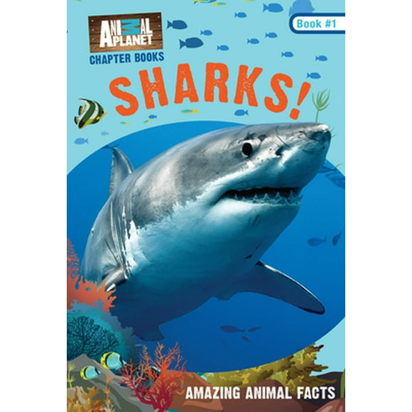Animal Planet Sharks Animal Planet Sharks