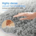 thumbnail image 5 of Area Rug, 2ft x 3ft Small Rugs Washable Rugs Non Slip Fluffy Shag Carpets for Entryway Kitchen Bathroom Bedroom, Gray, 5 of 8