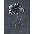 thumbnail image 2 of Great Art Now Tranquil Botanical 3 by Denise Brown, Framed Wall Art, 18W x 21H, 2 of 3