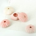 thumbnail image 3 of Trayknick Sea Urchin Shell High Durability Exquisite Shape Eye-catching Seashell Conch Ornament DIY Home Decoration Birthday Gift, 3 of 13