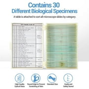 BEBANG 30 Microscope Slides with Specimens for Kids, Prepared Microscope Slides for Kids Microbiology, Glass Slides for Microscope, Biology Gifts for Adults Kids