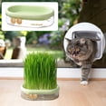 thumbnail image 5 of Cat Grass Planter Wheatgrass Planting Trays Hydroponic Cat Grass Growing Kits for Indoor Cats Soilless Organic Nursery Box Pet Grass Pot, 5 of 6