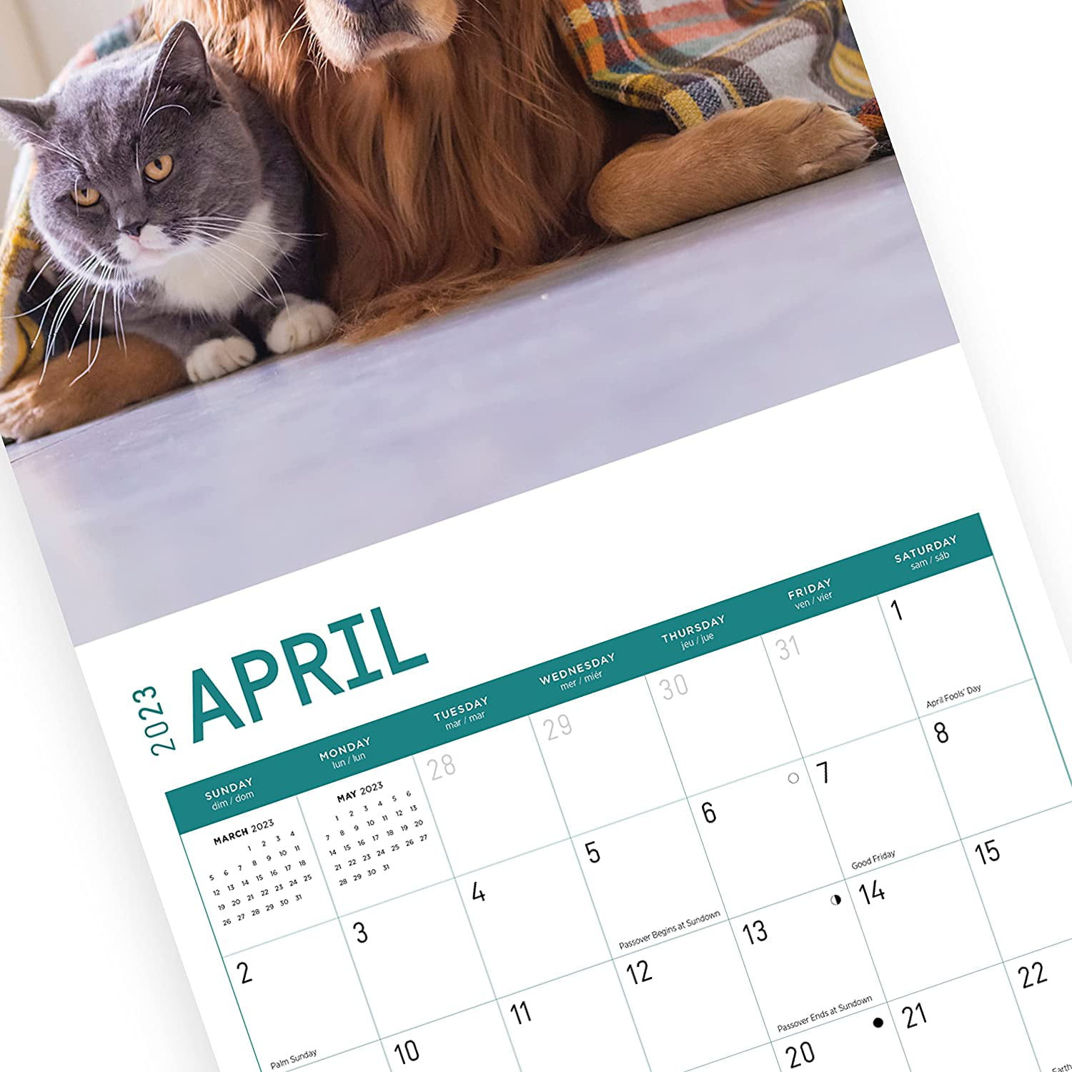 Digital Planner - Dogs and Cats 12 Month Calendar and Notes – Sparkle and  Comfort