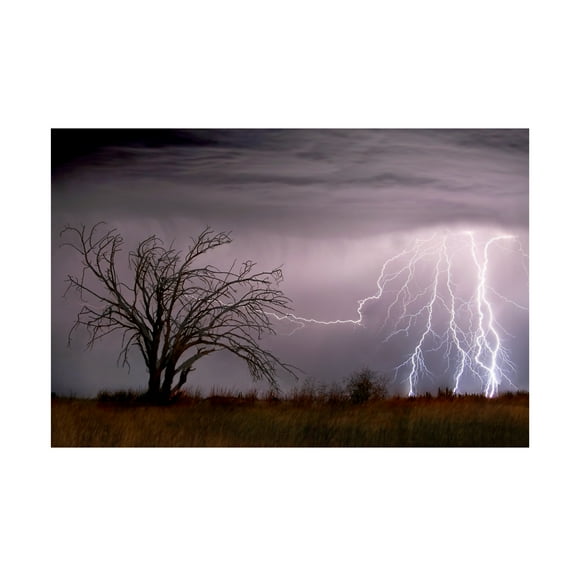 Wayne Bradbury Photography 'Lightning' Canvas Art