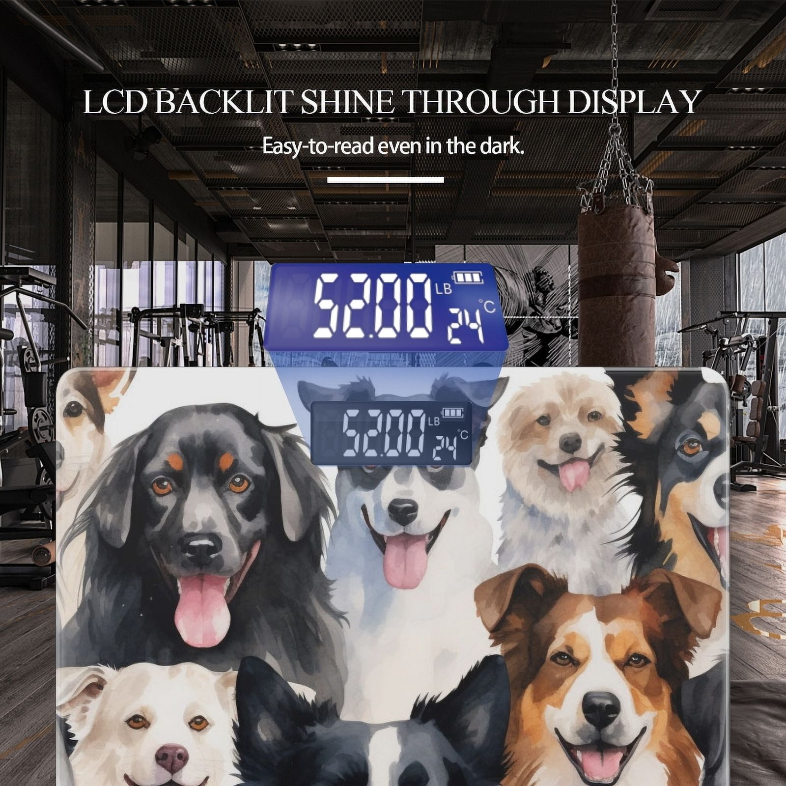 High Precision Body Weight Scale Smart Bathroom Scales with Large LCD Display(400lbs),Decorative for Bedroom-Different Border Collies Beaming With Smiles