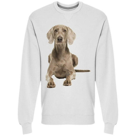 Laid Down Weimaraner Dog Sweatshirt Men -Image by Shutterstock, Male Medium