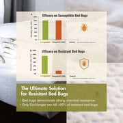 EcoRaider Bed Bug Killer Spray Case of 2 oz x 16 Units, 100% Kill Efficacy Kills All Stages on Contact-14 Day Residual Protection EcoFriendly & Non-Toxic Child & Pet Friendly