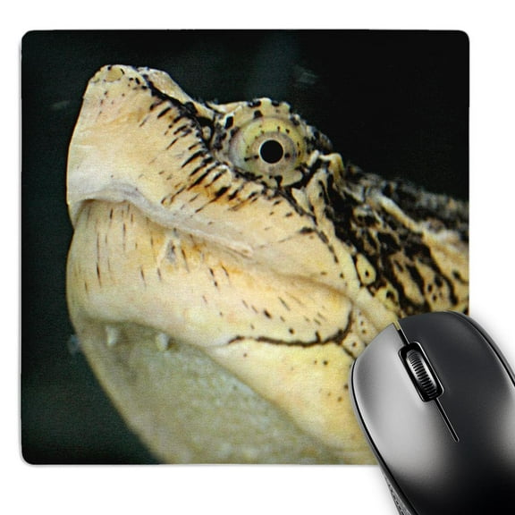 3dRose, Snapping Turtle, MousePad