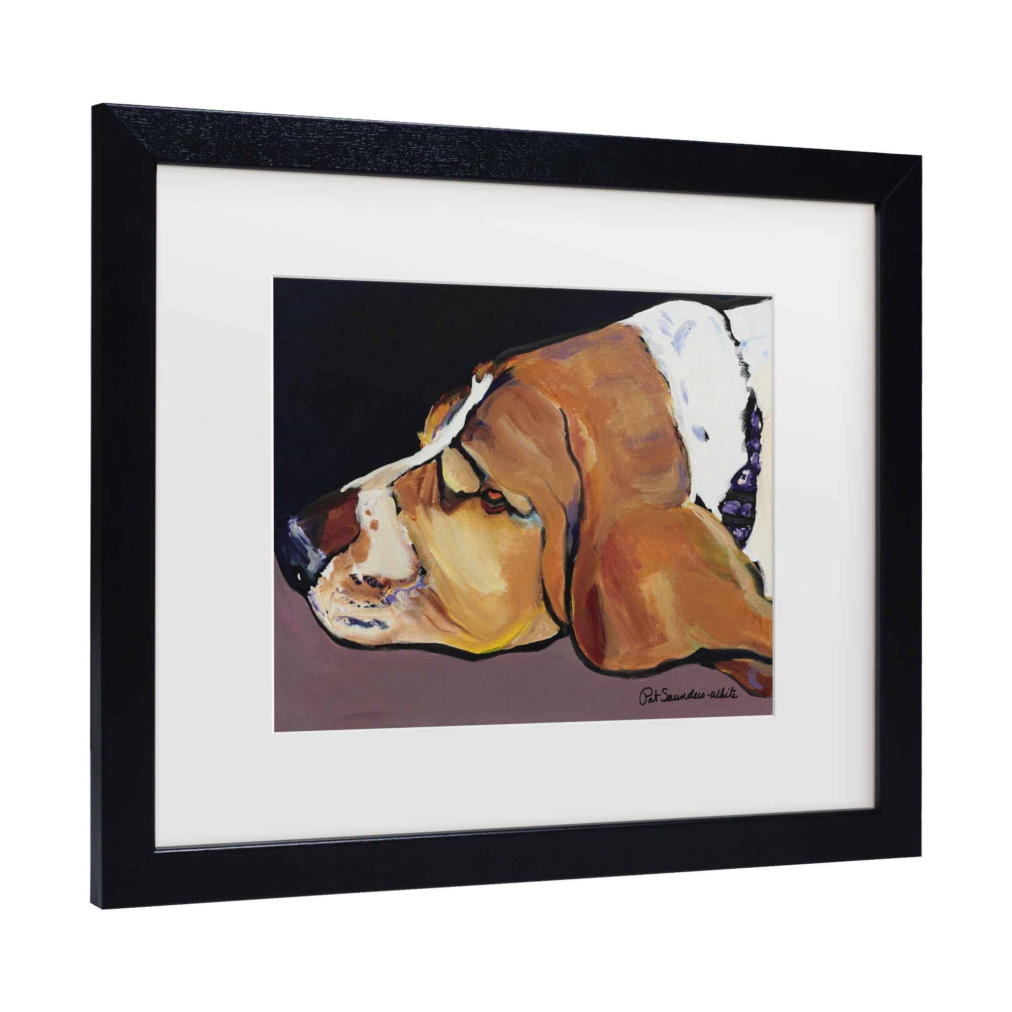 Trademark Fine Art 'Farley' Canvas Art by Pat Saunders-White