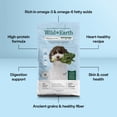 thumbnail image 6 of Wild Earth Vegan Dry Dog Food Performance Formula | Plant-Based Vegetarian Kibble | Wheat-Free, Allergen-Free, Veterinarian-Developed | Veggie Supreme Flavor, 18lb Bag, 6 of 8