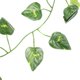 thumbnail image 3 of 6.89 pies de Largo Reptiles Vines Hojas Artificiales Falsos Jungla Flexible Escalador para Reptiles y Anfibios decoración de hábitat(Hojas de scindapsus) Peque?o animal Colgante Spptty Suministros para reptiles, 3 of 7