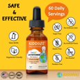 thumbnail image 2 of Gotas líquidas de lactoferrina para bebés Kiddivit, 60 ml, con vitamina C, 2 of 6