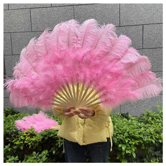 Large Ostrich Feather Fan,Hand Held Folding Fans 13Bone Stage Show Performance Dance Props Plumages Fans for Performance Dance Party Show Prop