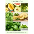 thumbnail image 3 of Eco Candle Co. Room & Linen Spray, Verbena Basil, 8 oz. - Scents Of Lemons, Verbena, Basil, & Cedar - Recycled Aluminum Bottle, No Propellents, Pump Top, All Natural Ingredients, 3 of 4
