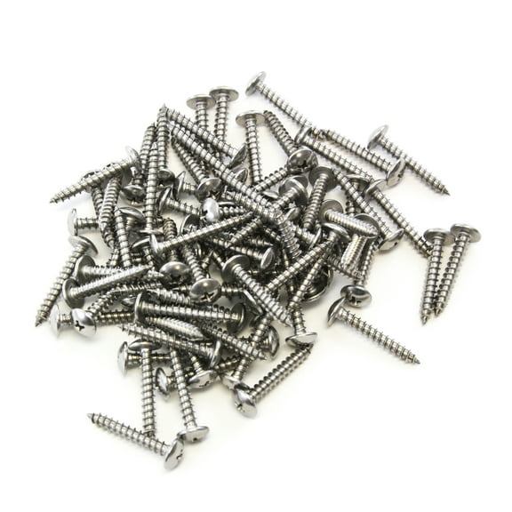 Red Hound Auto 80 Piece Truss Head Screw Set for Dock Bumper Installation Marine Grade Stainless Steel 10 x 1-1/4 inches SS