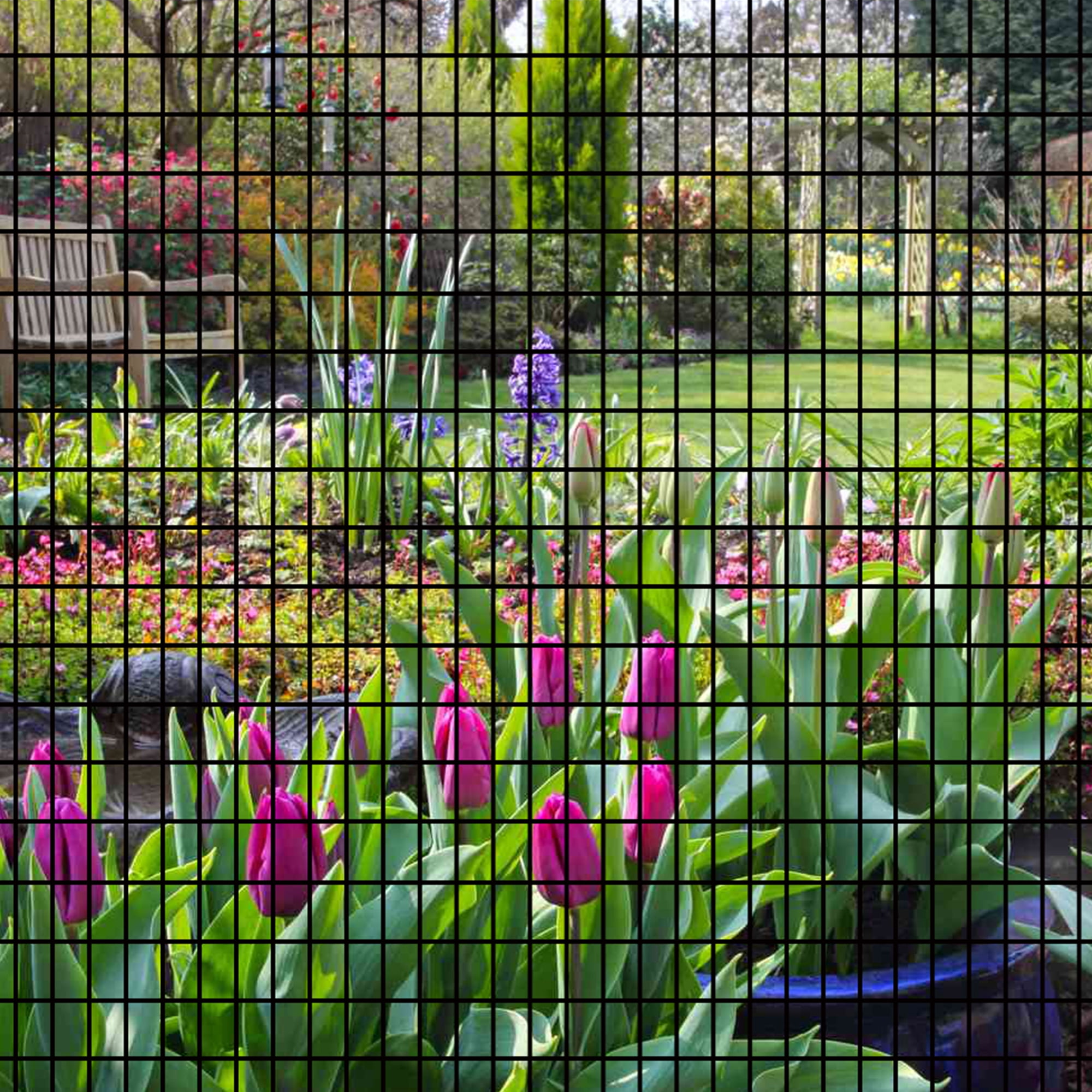 Miniyam 24" x 50' - 2" x 3" Rectangle Mesh 16 Gauge Black PVC Coated Welded Wire Panel, for Garden Trellis, Climbing Plant Support, Chicken Coops, and Animal Pens