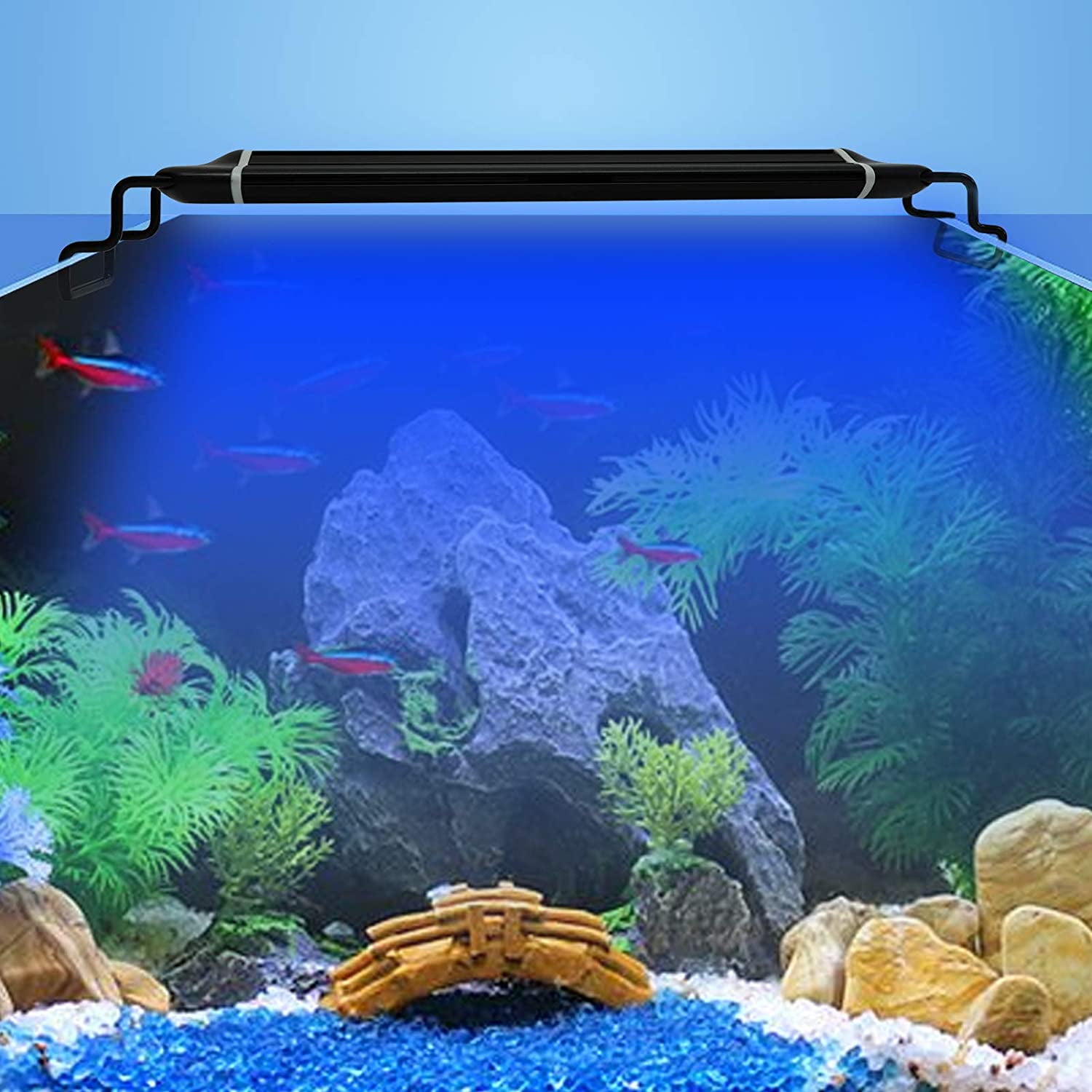 Blue light clearance for fish tank