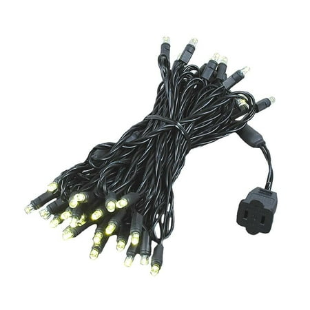 Novelty Lights 50 Light LED Christmas Mini Light Set, Outdoor Lighting Party Patio String Lights, Black Wire, 25