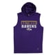 thumbnail image 1 of G-III Sports Mens Baltimore Ravens Hoodie Sweatshirt, rav, L, 1 of 2
