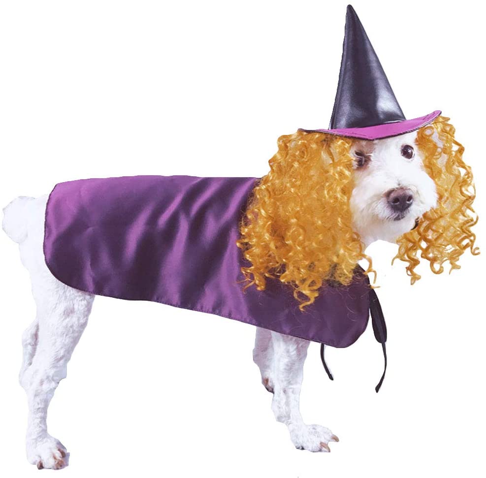 wizard hat for dog